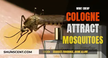 Colognes That Attract Mosquitoes: Cheap Scents, Big Bites