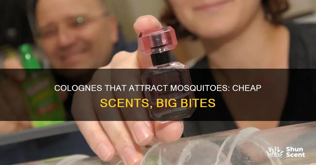 what cheap cologne attract mosquitoes