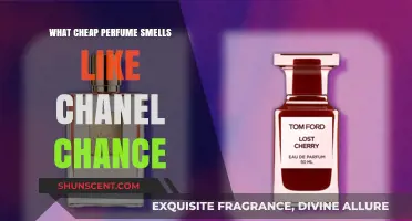 Affordable Dupes for Chanel Chance: Cheap but Luxurious Perfumes