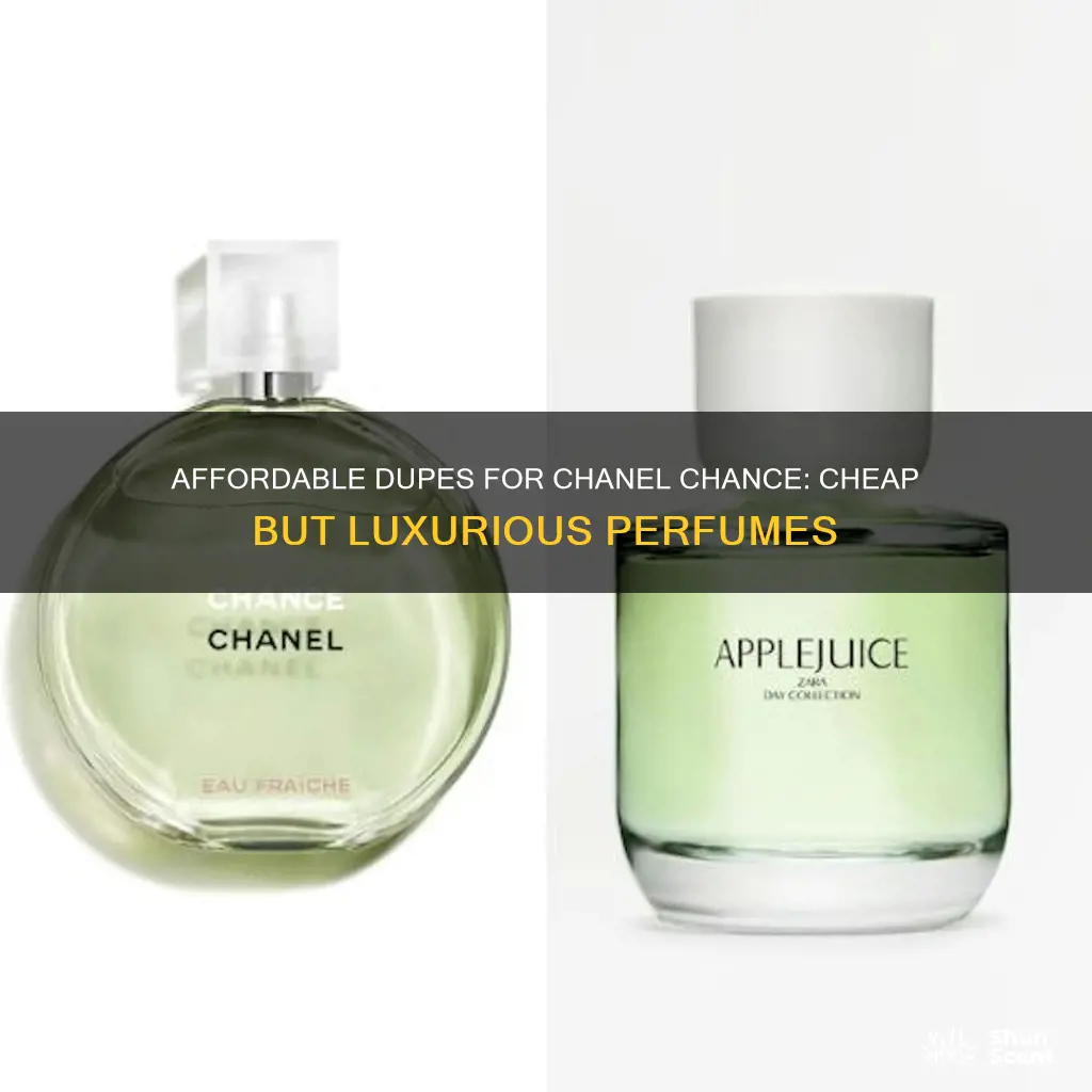 what cheap perfume smells like chanel chance