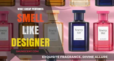 Affordable Scents That Smell Like Designer Perfumes