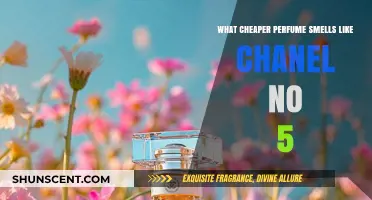 Affordable Alternatives to Chanel No. 5