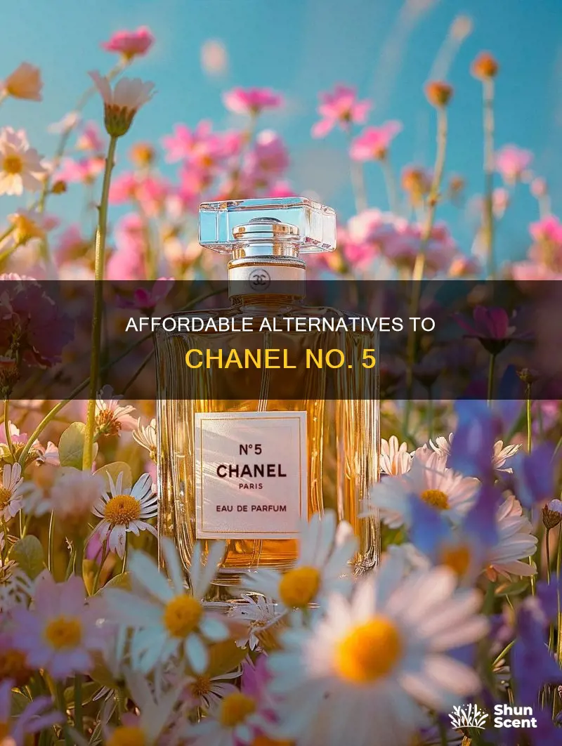 what cheaper perfume smells like chanel no 5
