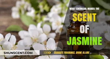 Unveiling Jasmine's Allure: The Chemical Secret Behind Its Signature Scent