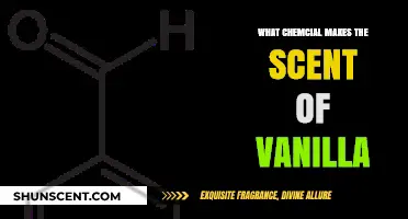 The Sweet Science: Unveiling Vanilla's Signature Scent Molecule
