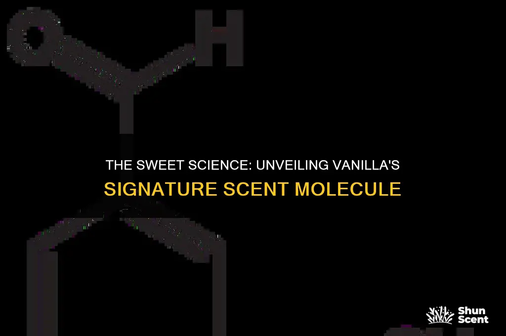 what chemcial makes the scent of vanilla