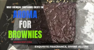 The Chemistry Behind Brownie Aroma: Compounds and Scents