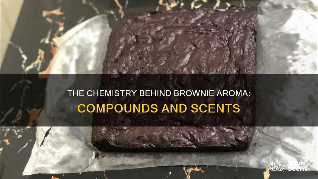 what chemical compounds create the aroma for brownies