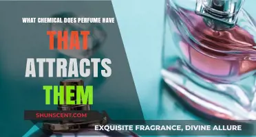 The Alluring Chemistry: Unveiling Perfume's Irresistible Attractive Ingredients