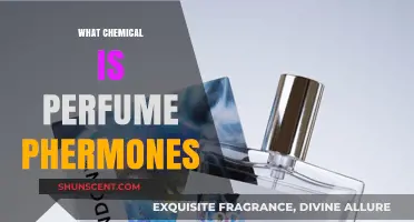 Unveiling the Chemistry: Perfume Pheromones and Their Chemical Secrets