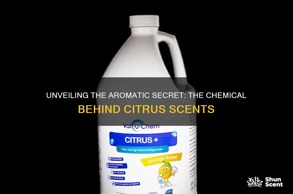 what chemical is responsible for citrus scent