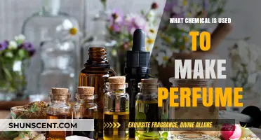 The Magic of Scent: Unveiling Perfume's Key Chemicals