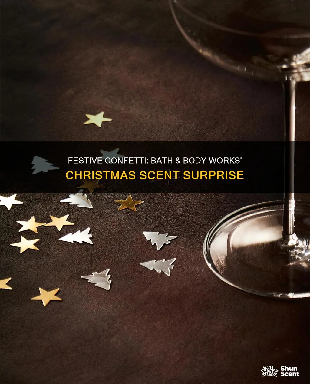 what christmas fragrance was bath and body works confetti