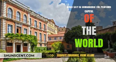 Discover Grasse: The World's Perfume Capital and Its Fragrant Legacy