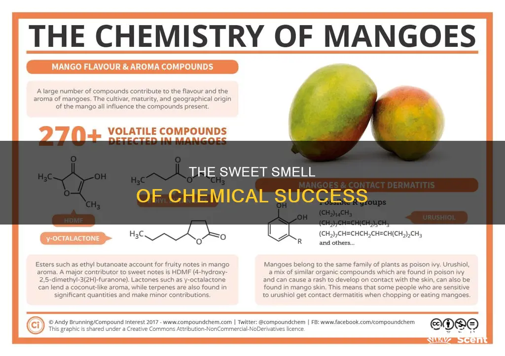 what class of compounds often has a pleasant fruity aroma