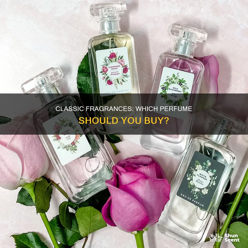 what classic perfume should i buy