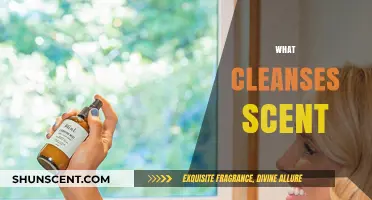 Natural Ways to Cleanse and Refresh Your Scent Effectively