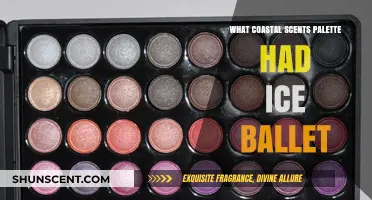 Coastal Scents Palette Featuring Ice Ballet: A Shimmering Review