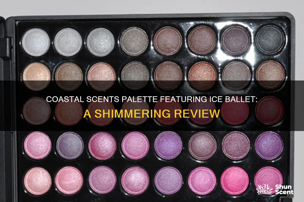 what coastal scents palette had ice ballet