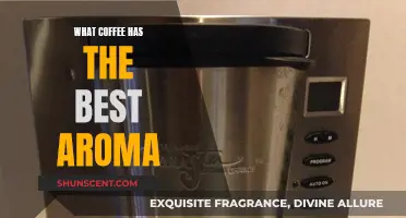 The Coffee Connoisseur's Guide to Finding the Best Aroma