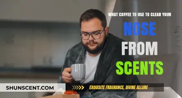 Best Coffee Blends to Naturally Clear Your Nose from Lingering Scents