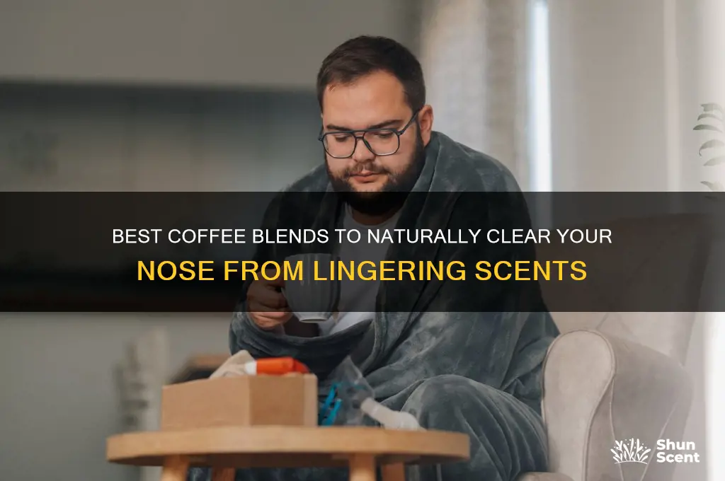 what coffee to use to clear your nose from scents