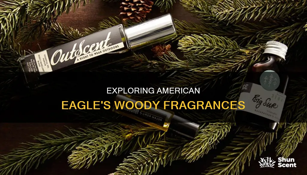 what cologne at american eagle is like woods