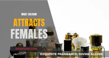 The Science of Scents: What Women Find Attractive in a Cologne