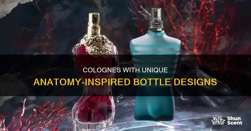 what cologne bottle looks like a body