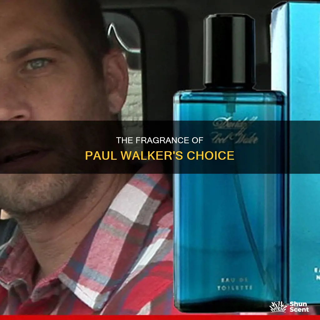 what cologne did paul walker wear