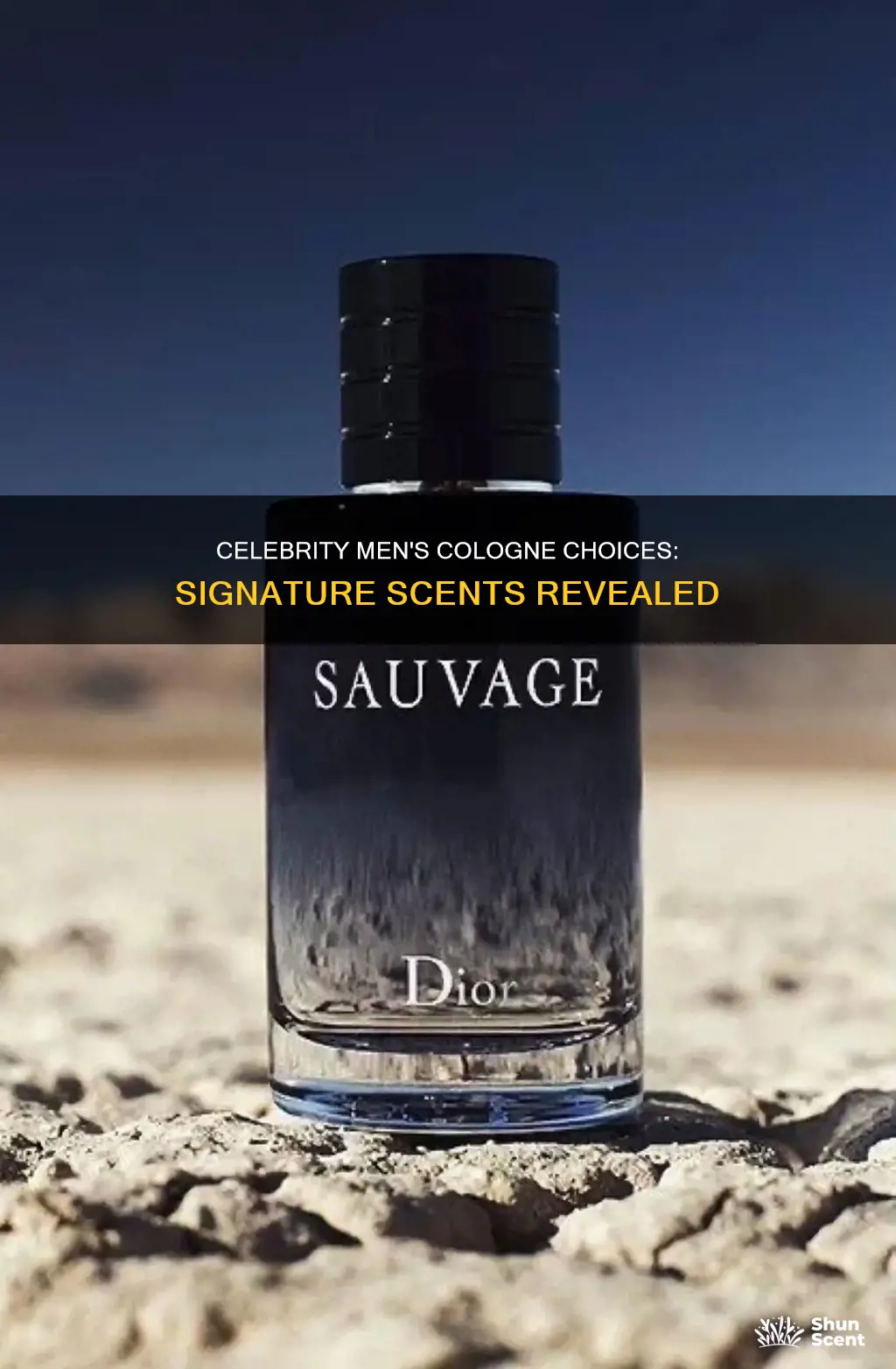 what cologne do celebrity men wear