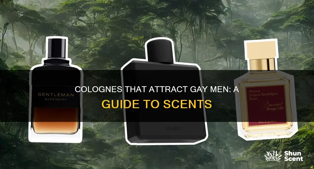 what cologne do gay guys like