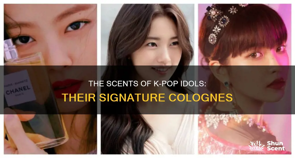 what cologne do kpop idols wear