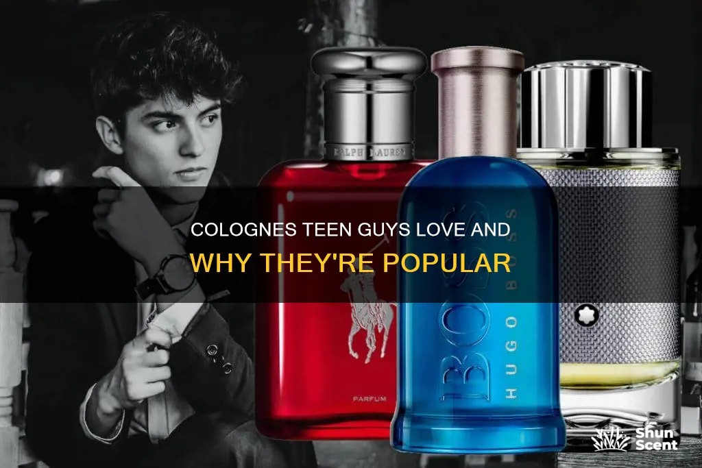 what cologne do older teen guys like