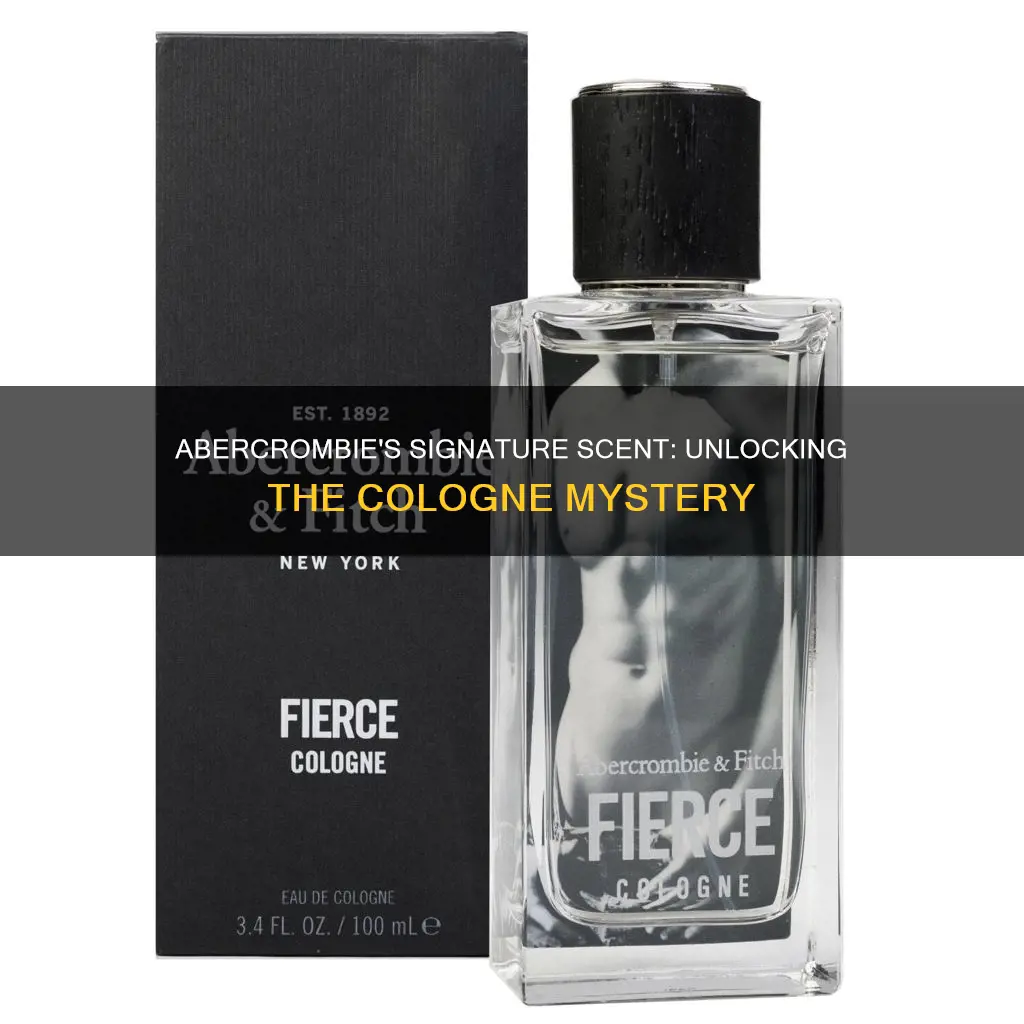 what cologne do they spray in abercrombie