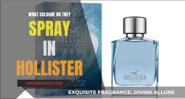 The Signature Scent of Hollister: Unveiling Their Cologne Mystery