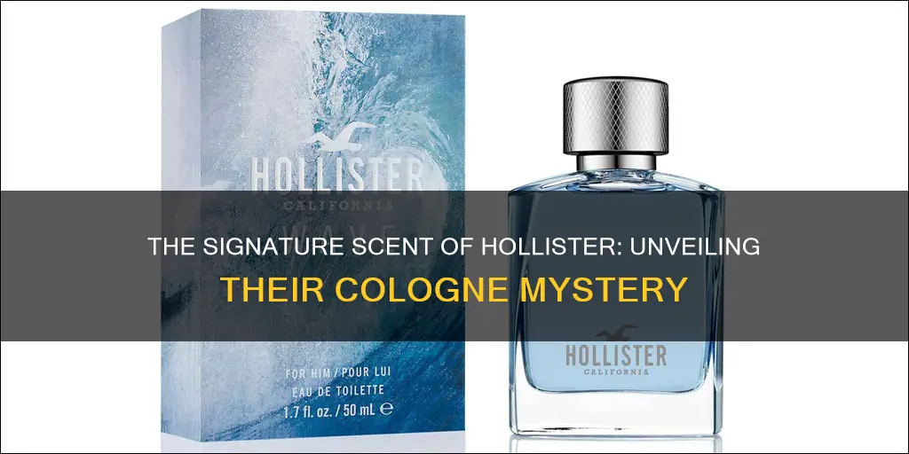 what cologne do they spray in hollister