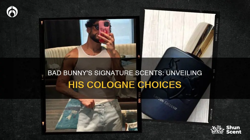 what cologne does bad bunny use