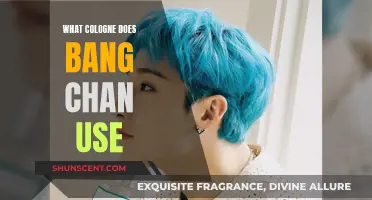 Chan's Cologne: Unveiling Bang Chan's Signature Scent