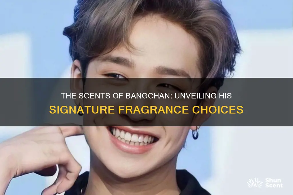 what cologne does bangchan wear