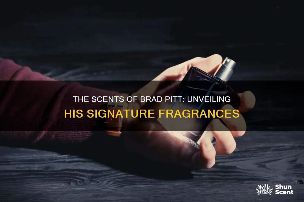 what cologne does brad pitt use