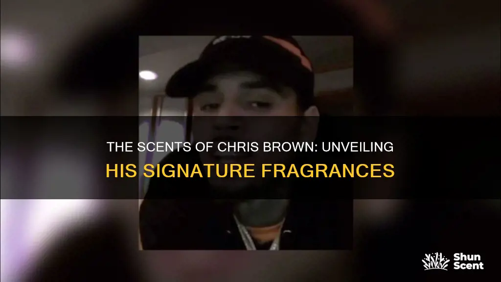 what cologne does chris brown use