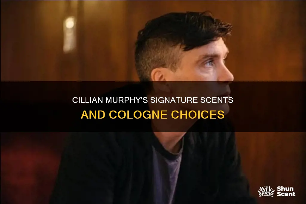 what cologne does cillian murphy wear