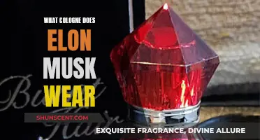 The Musk Mystique: Unveiling Elon's Signature Scent