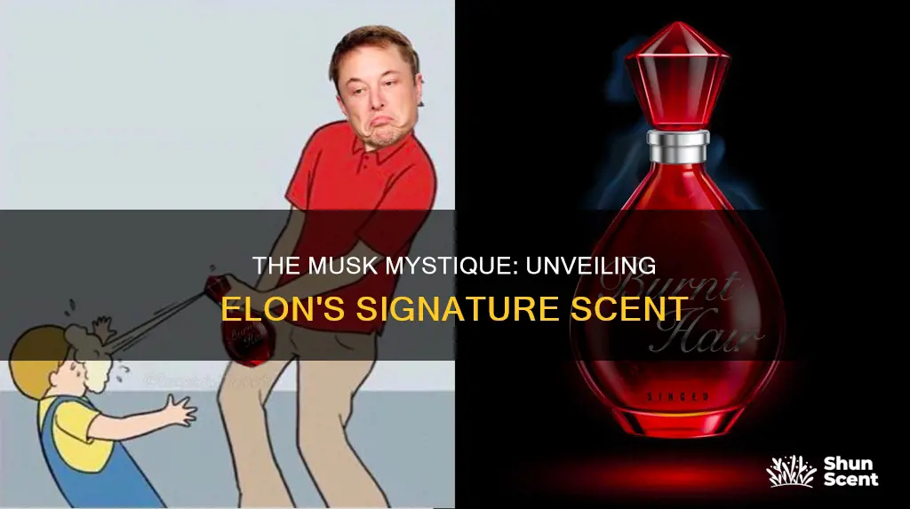 what cologne does elon musk wear