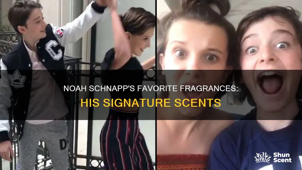 what cologne does noah schnapp use