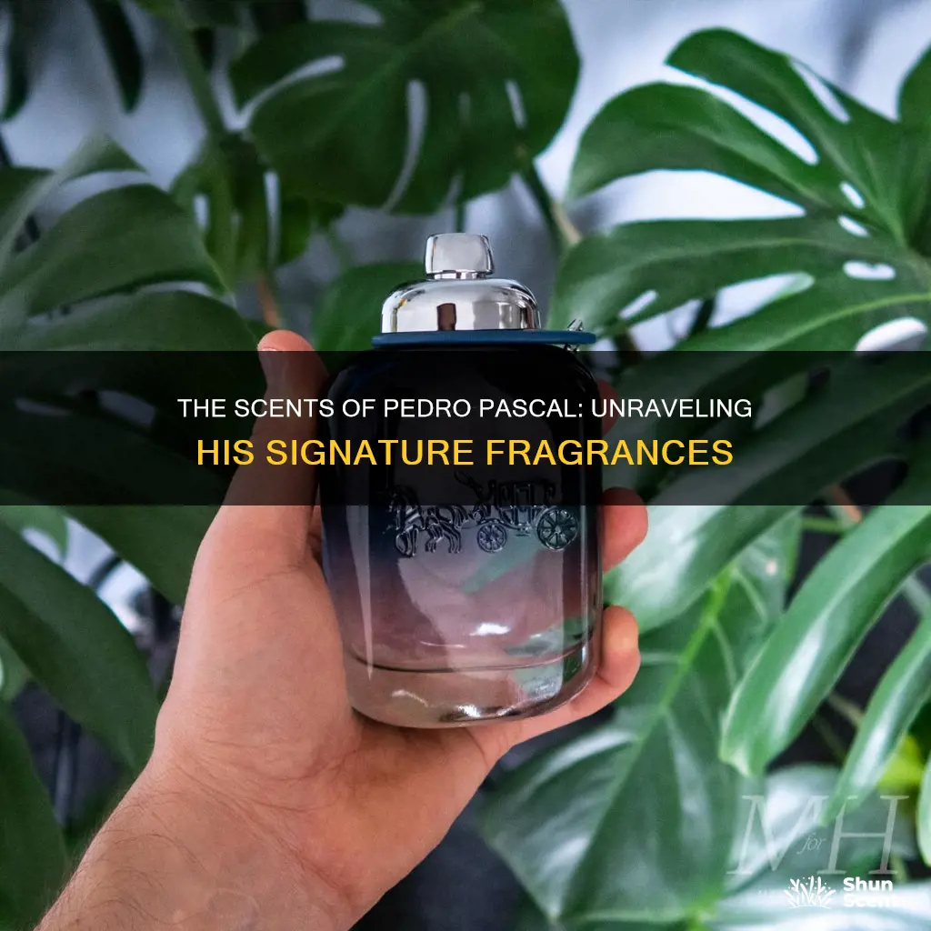 what cologne does pedro pascal