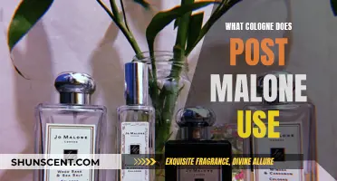 Post Malone's Signature Scents: Cologne Choices Revealed