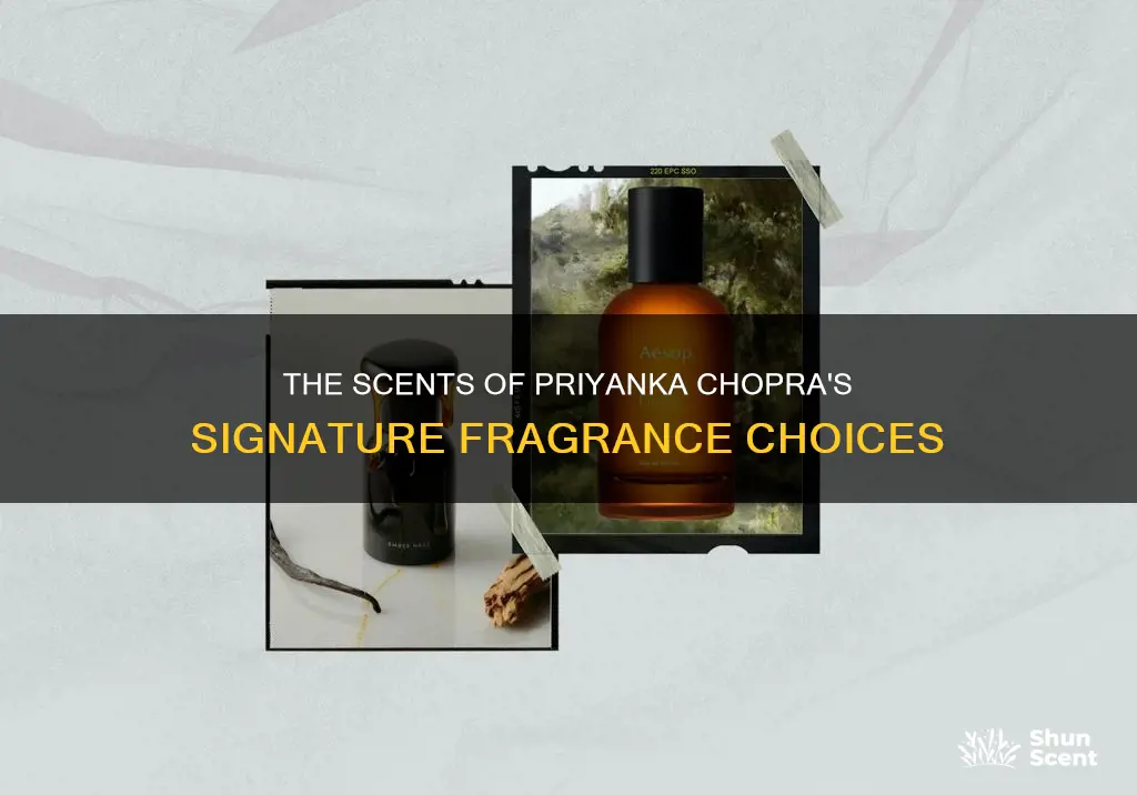 what cologne does pryanka chopra wear