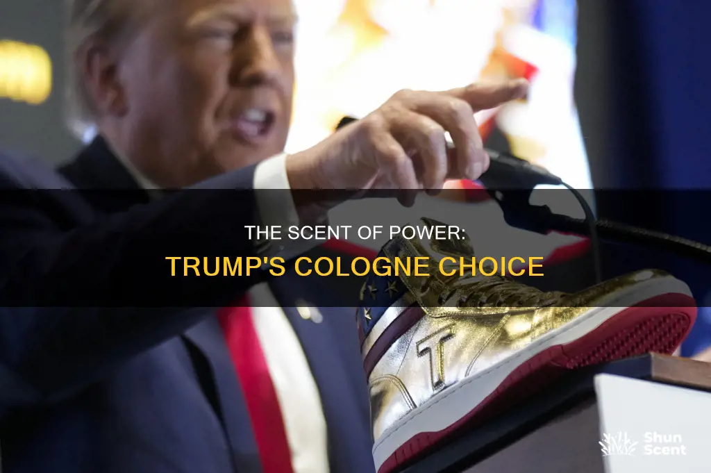 what cologne does trump where